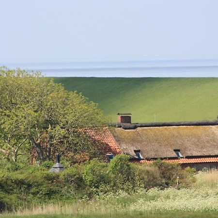 Gasthof Grosser Krug Norddeich  Exteriér fotografie