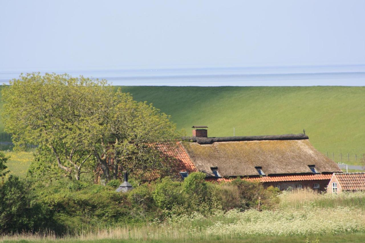 Gasthof Grosser Krug Norddeich  Exteriér fotografie