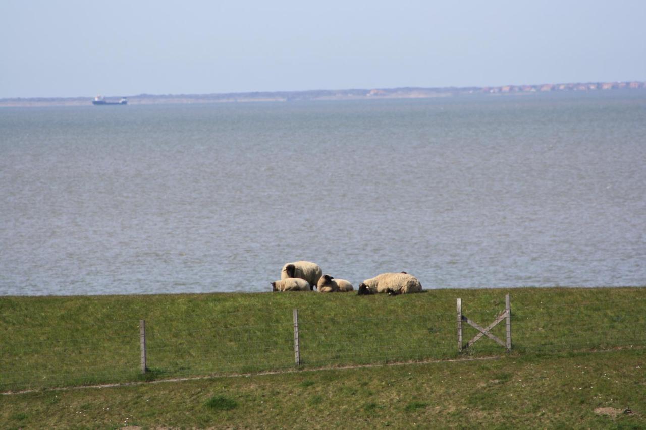 Gasthof Grosser Krug Norddeich  Exteriér fotografie